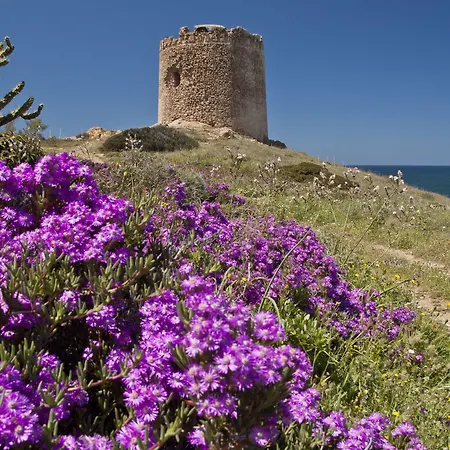 A.i.r. Gabbiano Isola Rossa (Sassari)